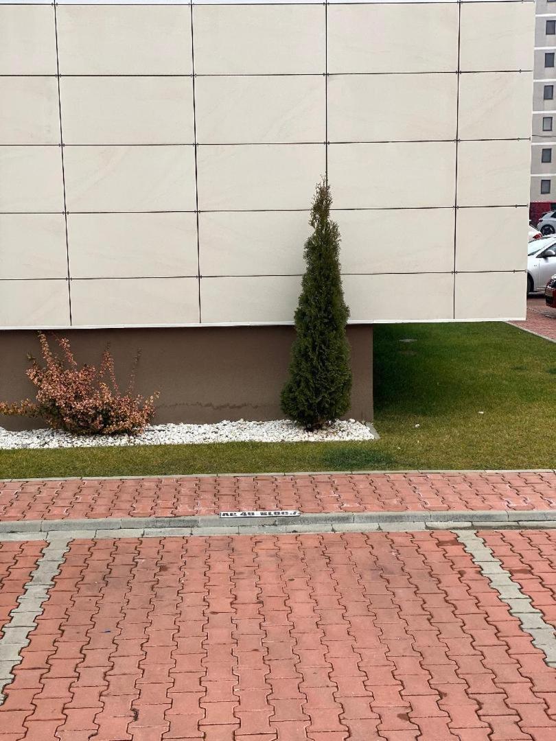 The 10th Floor